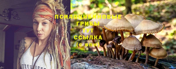 трава Кодинск