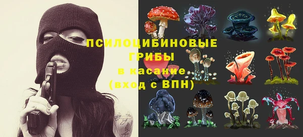 мет Козельск